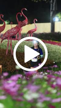 BIB:  <button type="button" onclick="openModal(27589968)" class="btn btn-primary btn-sm float-right" data-toggle="modal" data-target=".modal-high-quality">
                <i class="fa fa-download"></i> Download
                </button>